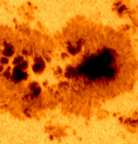 The sun spot thumbnail image