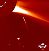 Comet brown thumbnail image